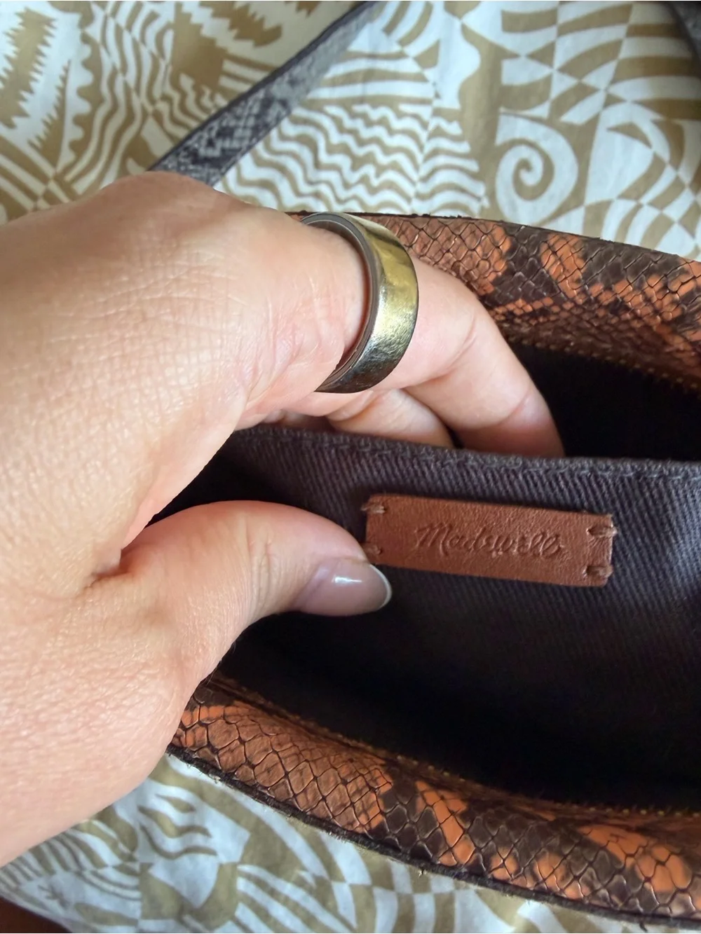 Madewell The Transport Camera Bag: Colorblock Snake Embossed